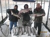 (11/27/2016) - Nice Striped Bass
